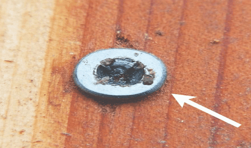 Ốc bị trờn xảy ra do nhiều nguyên nhân khác nhau